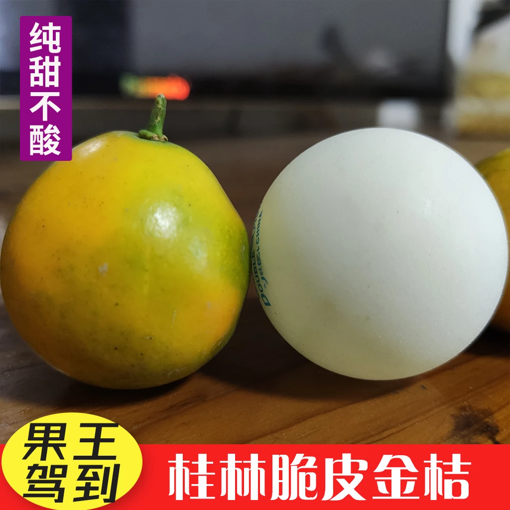 【金桔果王】桂林脆皮金桔新鲜水果纯甜广西融安滑皮小金桔柑橘子
