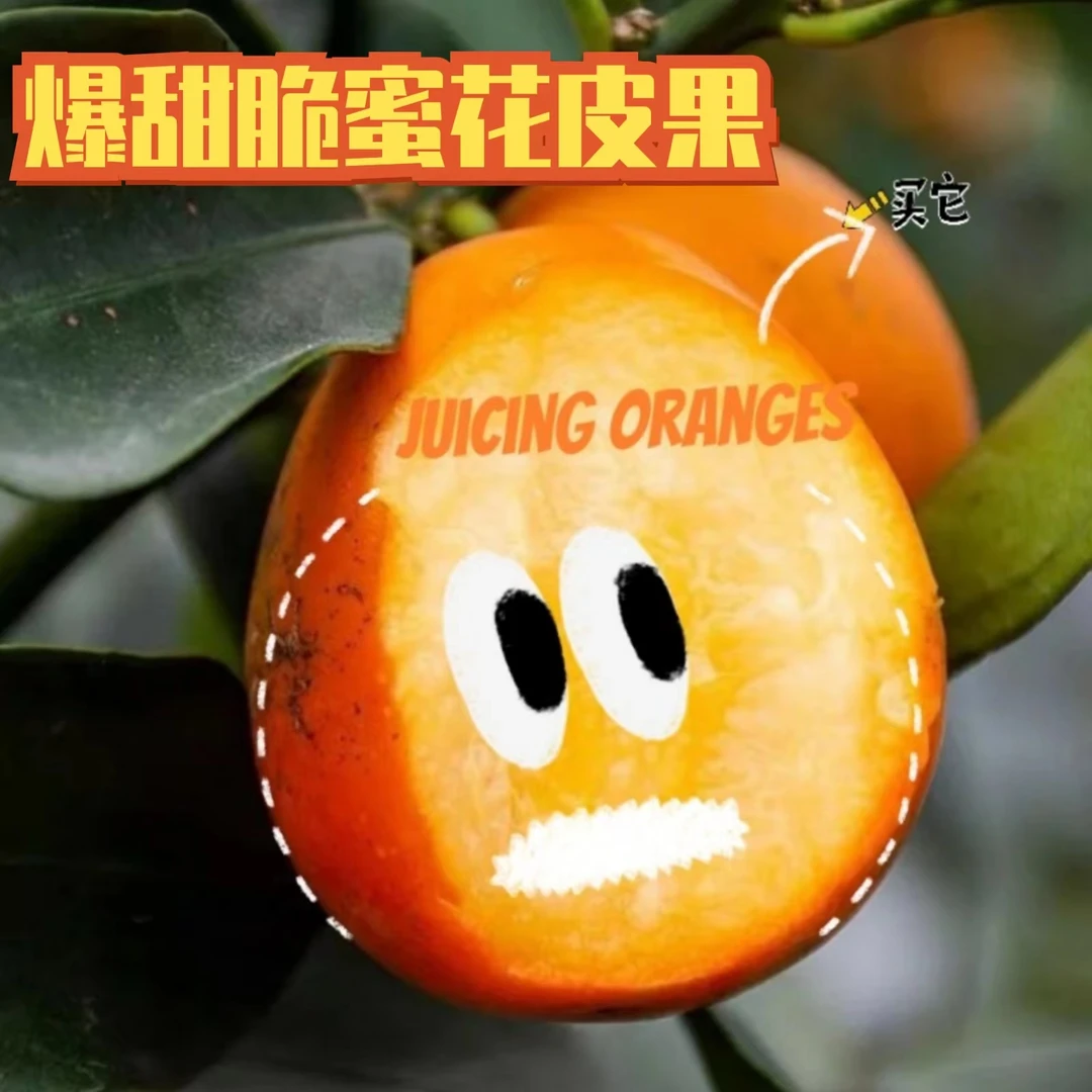 【花果】农家自种脆蜜金桔金柑爆甜花果皮薄肉嫩超值手慢无
