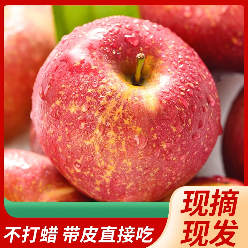 【现摘现发】大凉山盐源高原丑苹果糖心甜脆新鲜采摘5斤/8斤