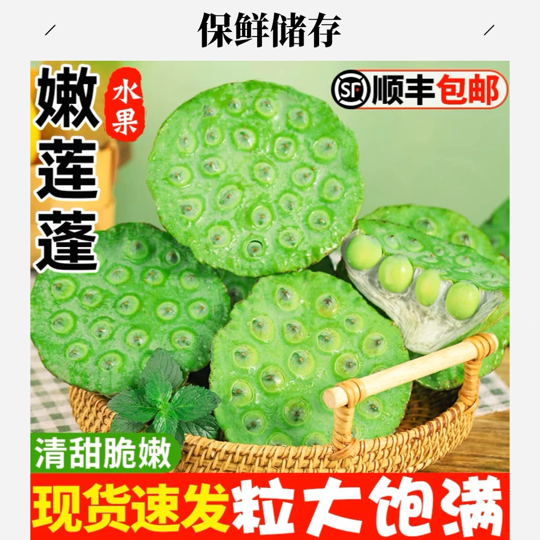 【水果莲蓬】当天新鲜莲蓬1~5斤新鲜嫩米嫩甜清凉水果生吃丰收季