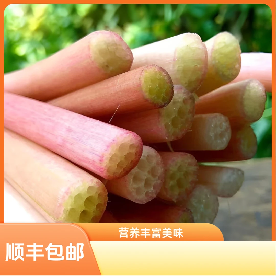 现摘新鲜鸡头苞梗刺梗蔬菜湖北特产芡实梗鸡头米梗去皮干净芡实梗