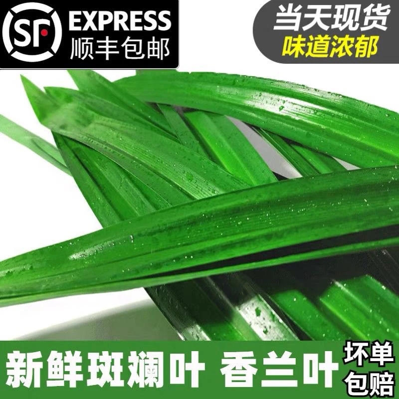 斑斓叶新鲜食用班兰叶顺丰快递包邮蛋糕千层芒果糯米饭香兰叶500g