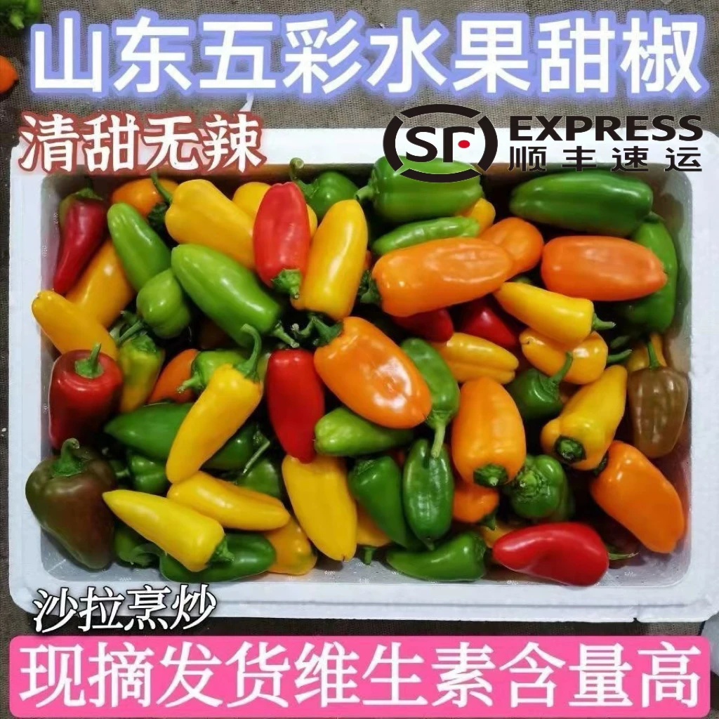 甜椒新鲜蔬菜水果椒500g迷你小辣椒红黄彩椒小彩椒健身沙拉食材