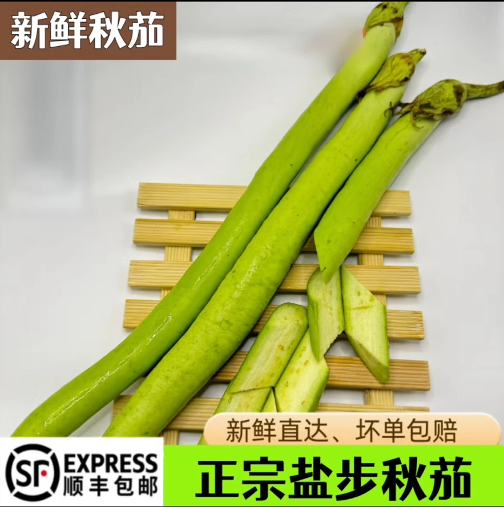 新鲜秋茄蔬菜盐步秋茄青茄2500g线茄子广东粤菜餐厅食材顺丰发货