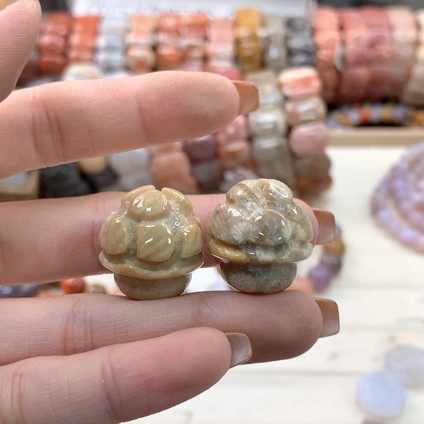 【闪购商品】硅化珊瑚（珊瑚玉）手链未镶嵌882