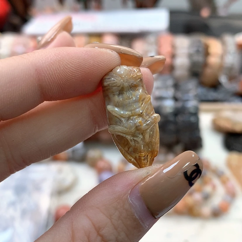 【闪购商品】硅化珊瑚吊坠(不含链)未镶嵌013