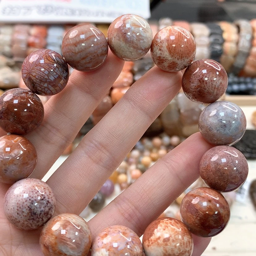 【闪购商品】硅化珊瑚（珊瑚玉）手链未镶嵌611