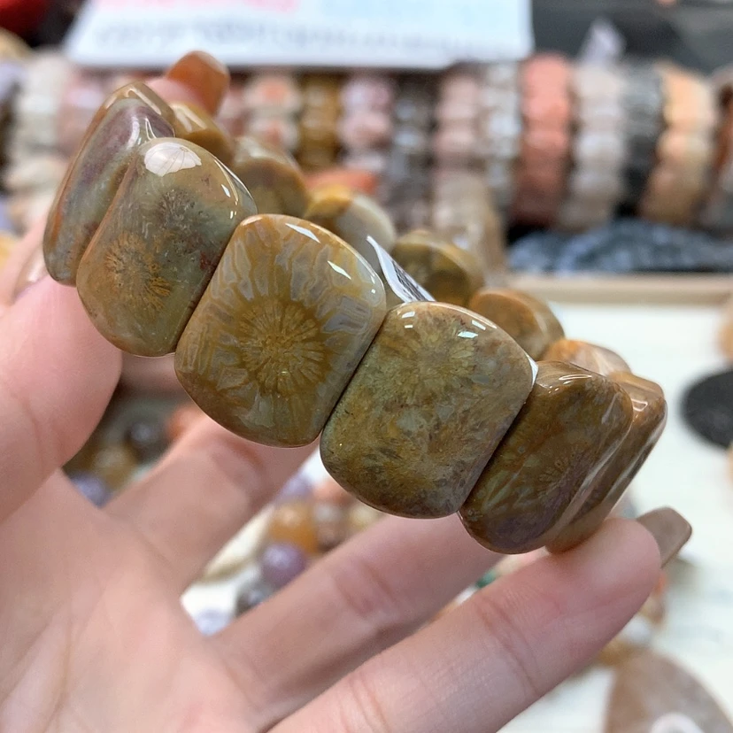 【闪购商品】硅化珊瑚（珊瑚玉）手链未镶嵌219