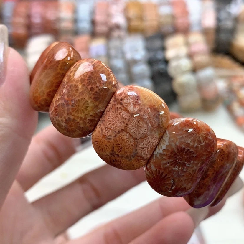 【闪购商品】硅化珊瑚（珊瑚玉）手链未镶嵌663