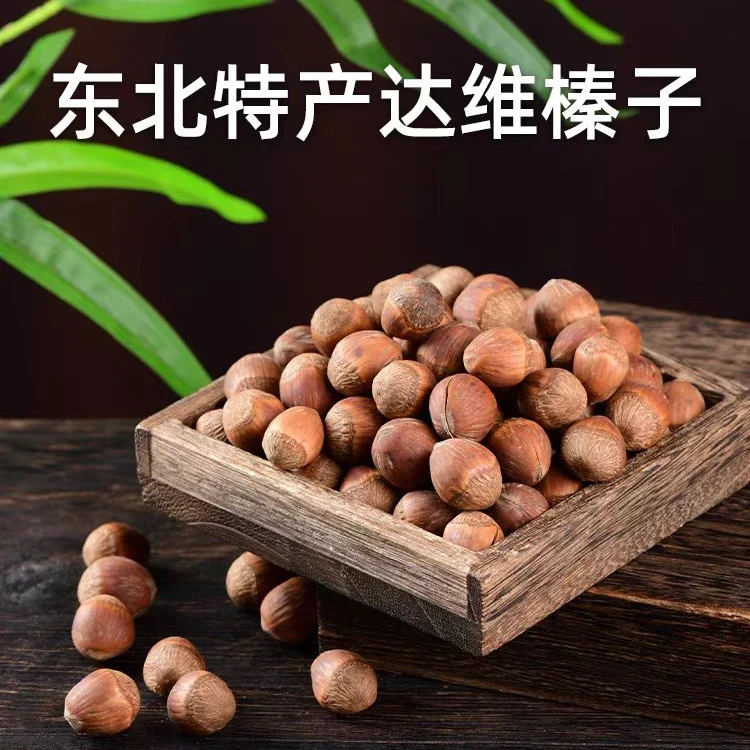 东北大果达维榛子 铁锅笨炒大榛子 树上自然成熟 吉林原产地直发