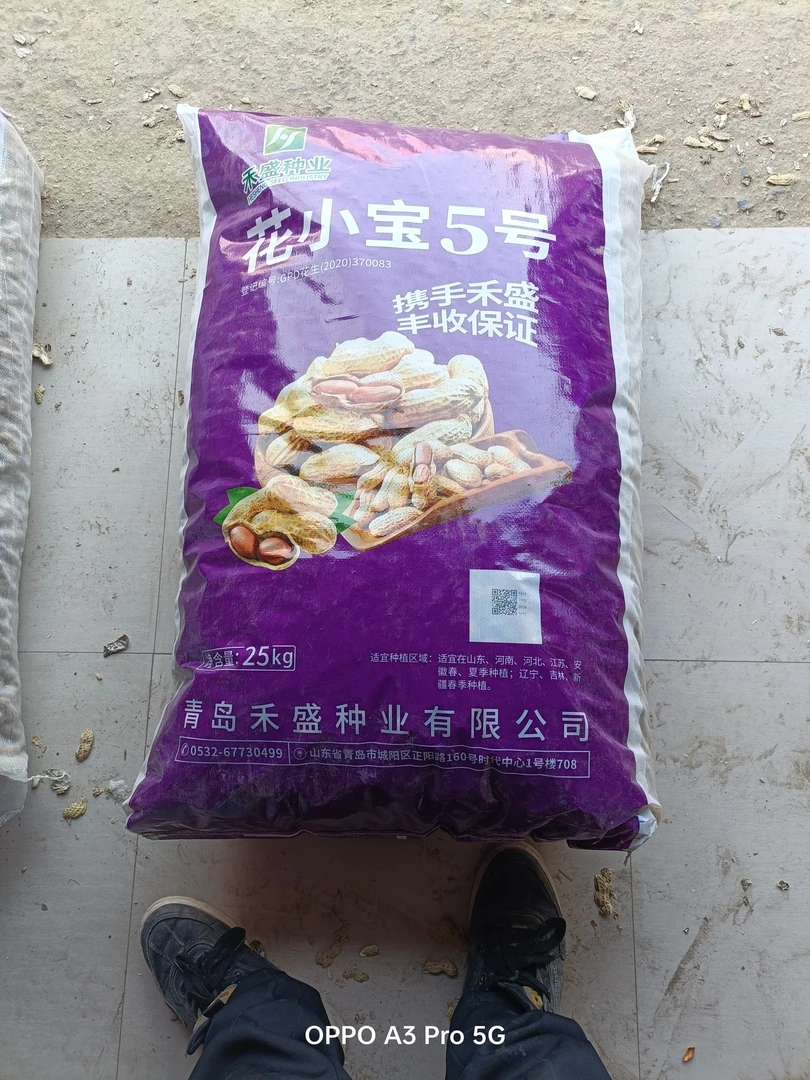 禾盛花小宝5号花生种水溶