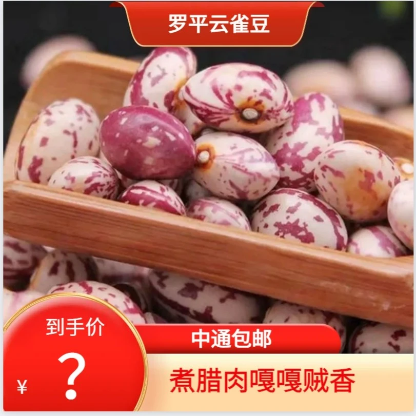 【罗平发货】云雀金豆罗平干货特产炖老腊肉嘎嘎香