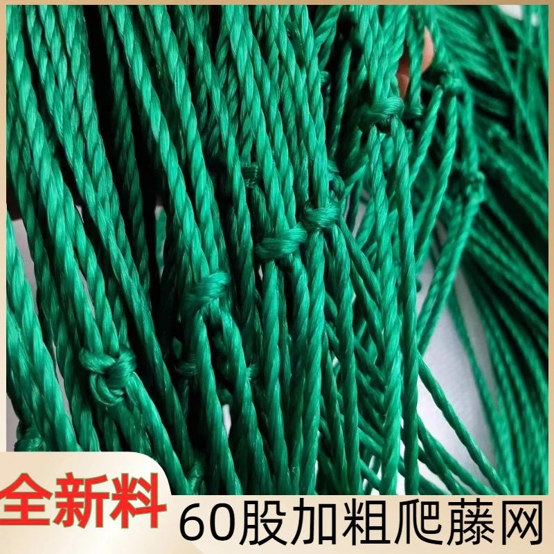 植物爬藤网加粗黄瓜网百香果网吊瓜种植葡萄架网园艺攀爬网防护网
