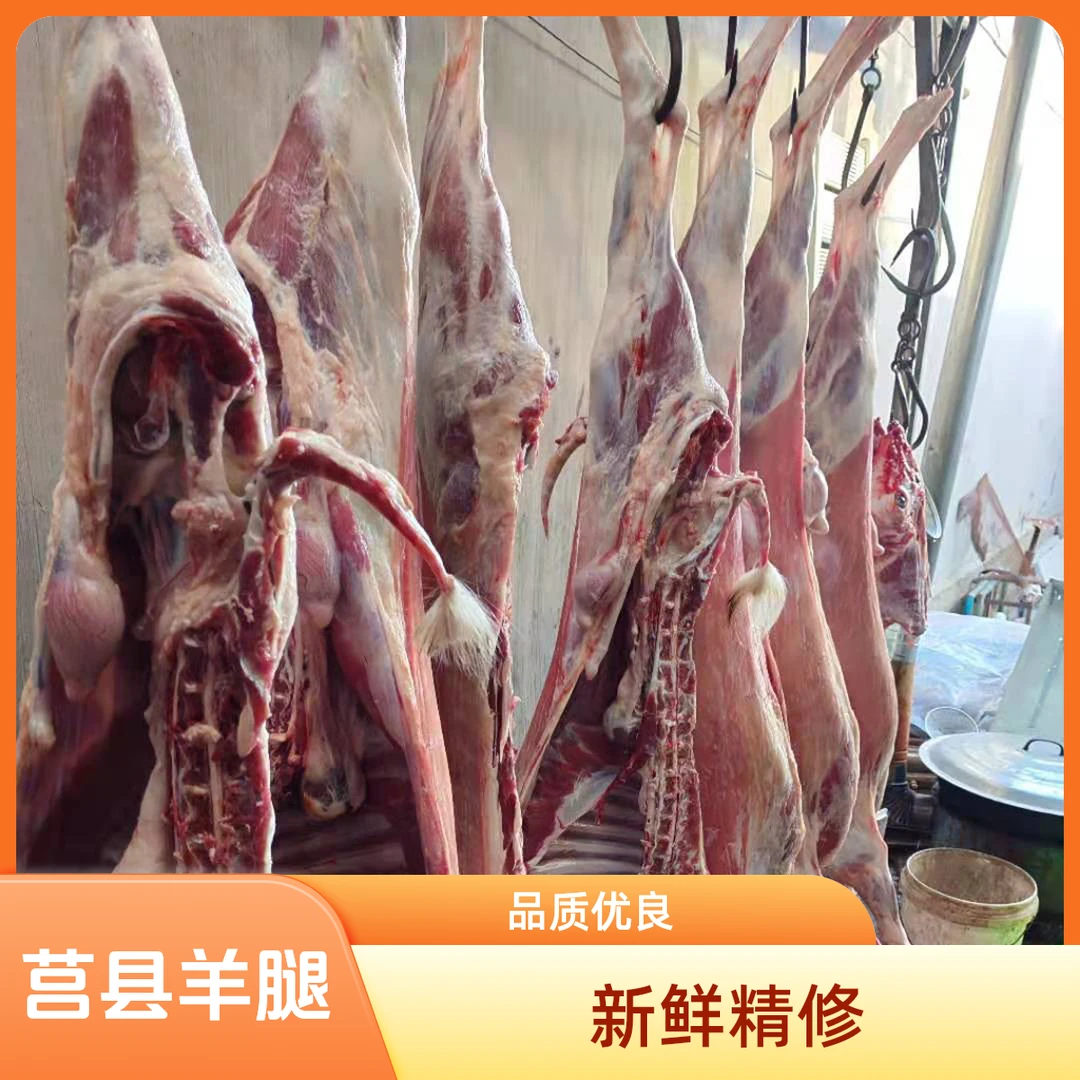 直播间灵活链接！莒县本地小山羊、一物一链接，看称的实际重量！