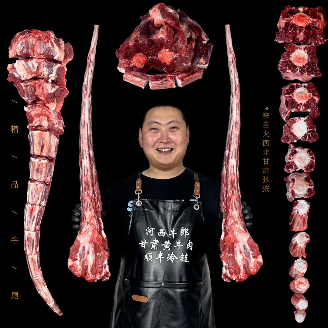 【牛尾】甘肃张掖黄牛牛尾巴牛尾骨新鲜整根中段小段牛尾段切片牛尾