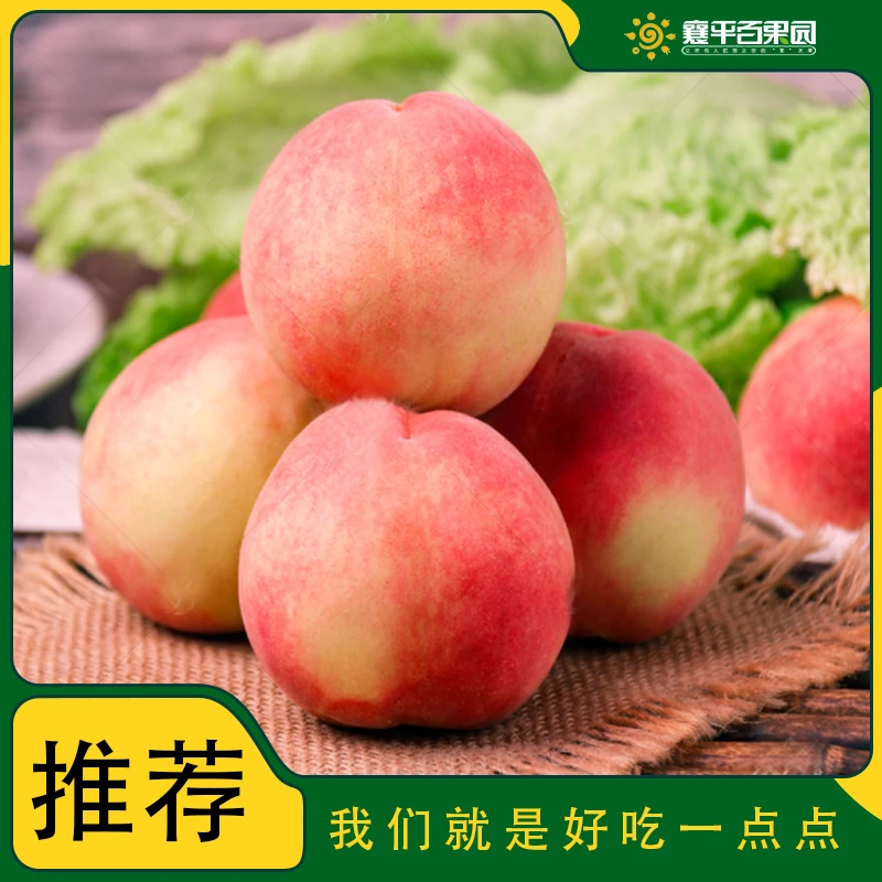 【店长推荐】进口水蜜桃约450g/2个