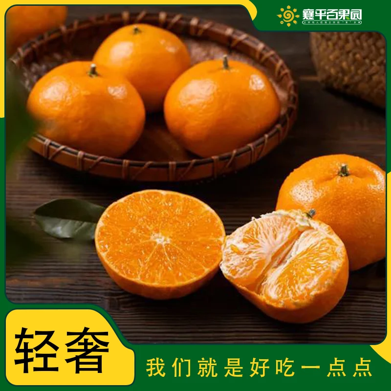 【好吃一点】黄岩蜜桔500g±20g/6个皮薄多汁，核心产区/味正香甜