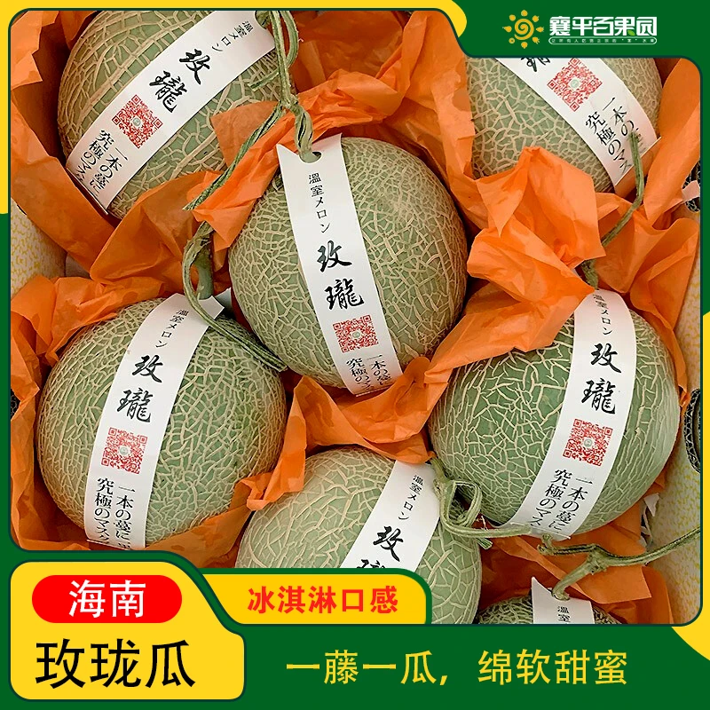 【店长推荐】玫珑瓜整果哈密瓜 约3.6±0.1斤/不切盒