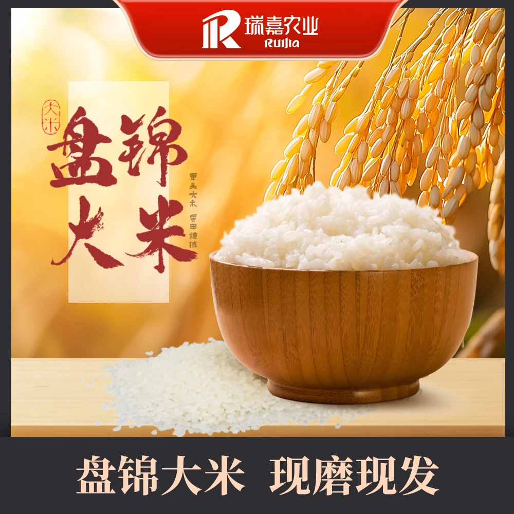 2024年新米 盘锦蟹田大米碱地大米 10斤（多款包装混发）