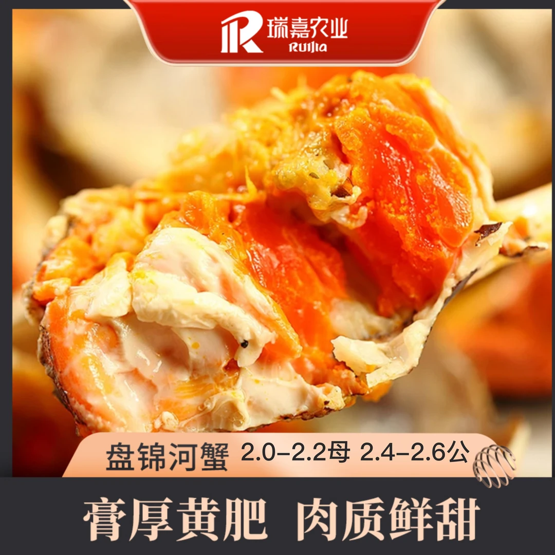 【活蟹】瑞嘉 盘锦河蟹2.0-2.2两母+2.4-2.6两公 8/10只可选不捆绳