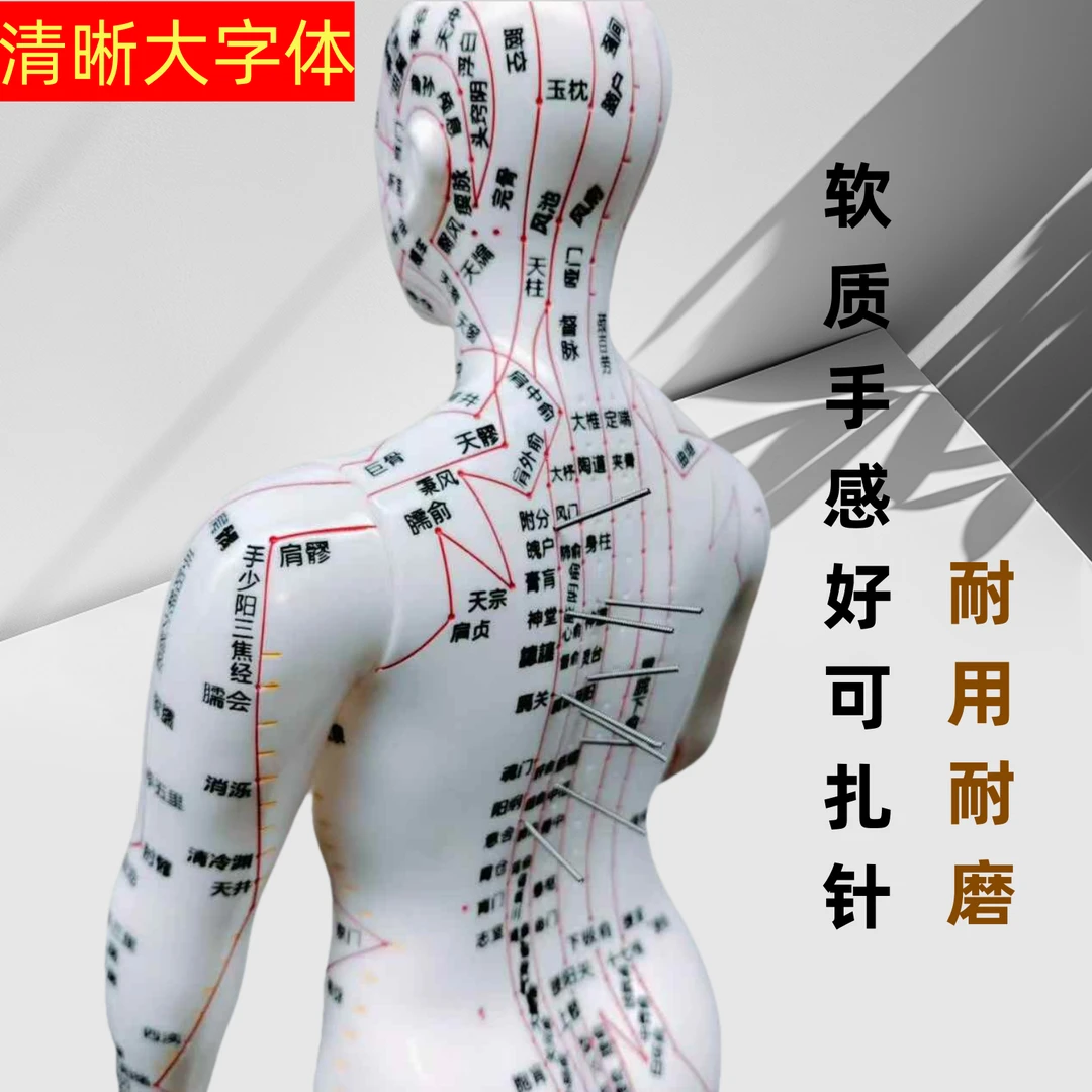 人体经络穴位模型全身模型小皮人针灸穴位人体模型清晰彩色小铜人