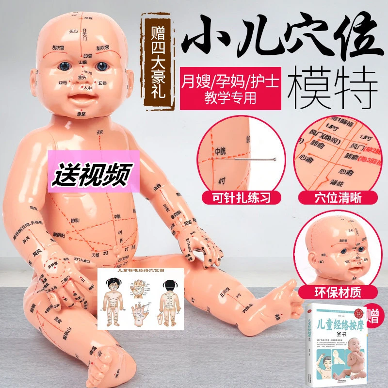 小儿推拿穴位模型儿童按摩穴位图教学家政月嫂护士仿真娃娃模型人