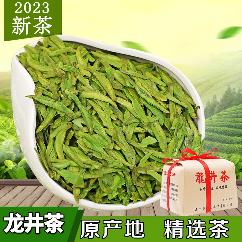 2024年新茶明前龙井茶 浓香绿茶 豆香龙井绿茶茶叶 250g/500g