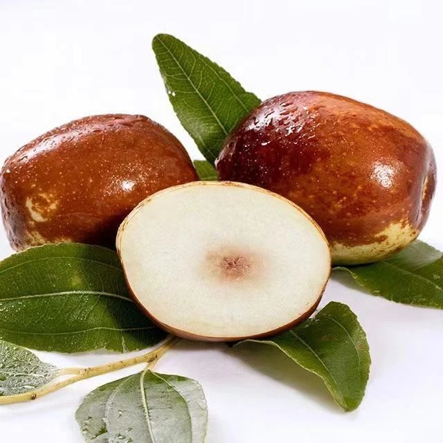 【顺丰到家】北票金丝蜜新鲜枣甘甜脆爽3斤装7斤装新鲜采摘肉厚