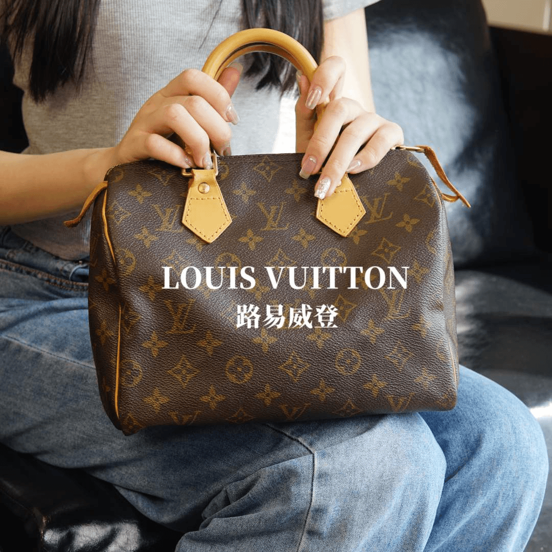 95新 LouisVuitton/路易威登 Speedy25枕头包/JJ04311230/09