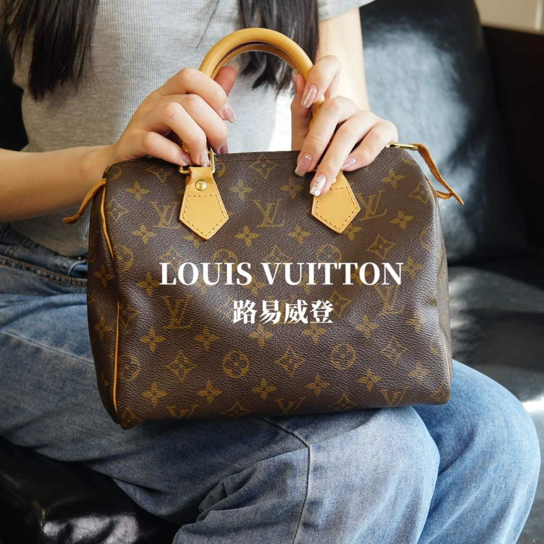 95新 LouisVuitton/路易威登 Speedy25枕头包/YXPJ12331221/09