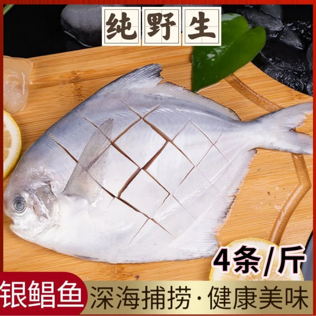 大号新鲜海捕银鲳鱼 刺少肉嫩(每包四条）