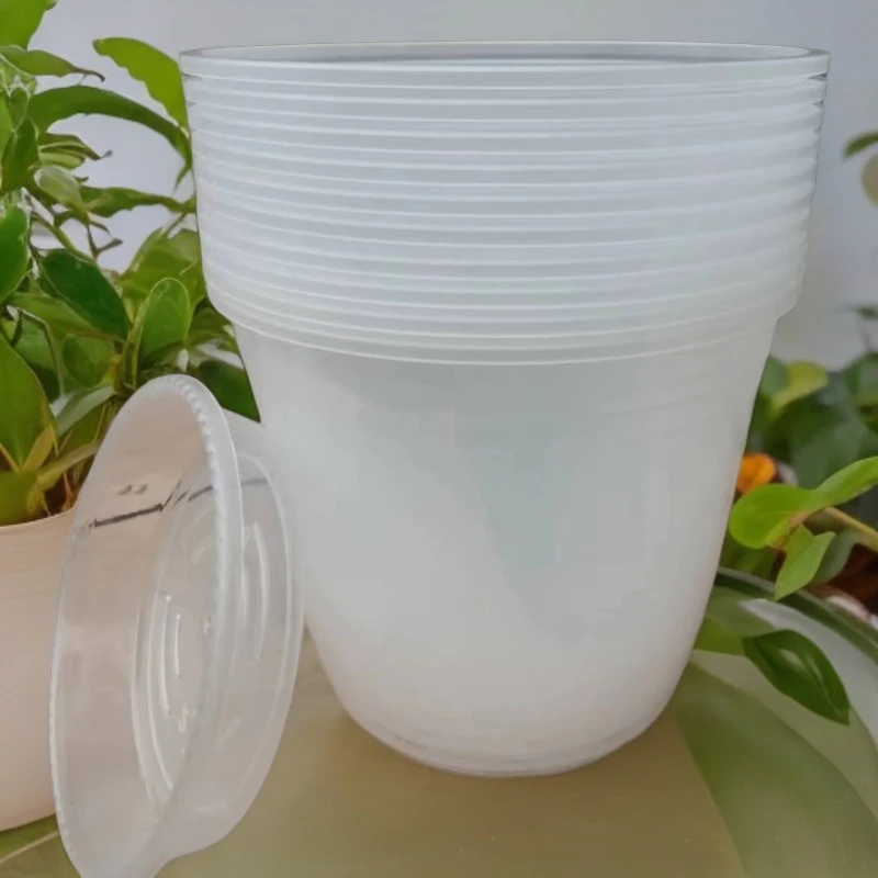 加厚 耐用  防晒  高透明  无孔 绿萝  绿植  蝴蝶兰  通用塑料盆