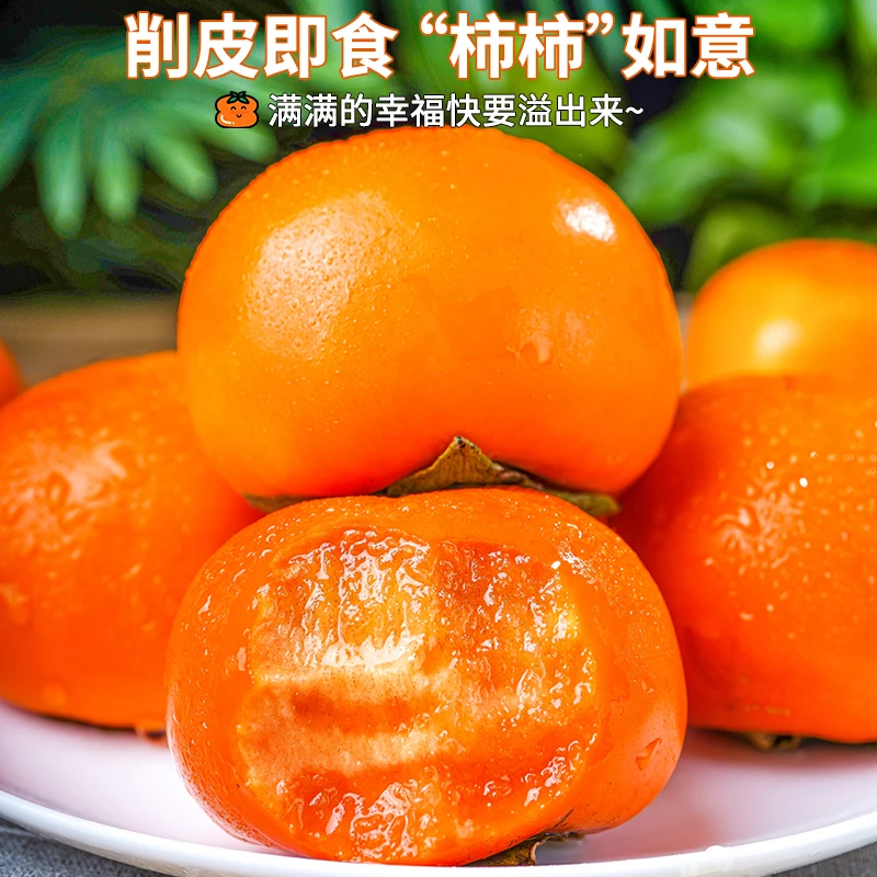 陕西脆甜阳丰柿子水果柿子巧克力脆柿子5斤托盘装现摘现发精选果