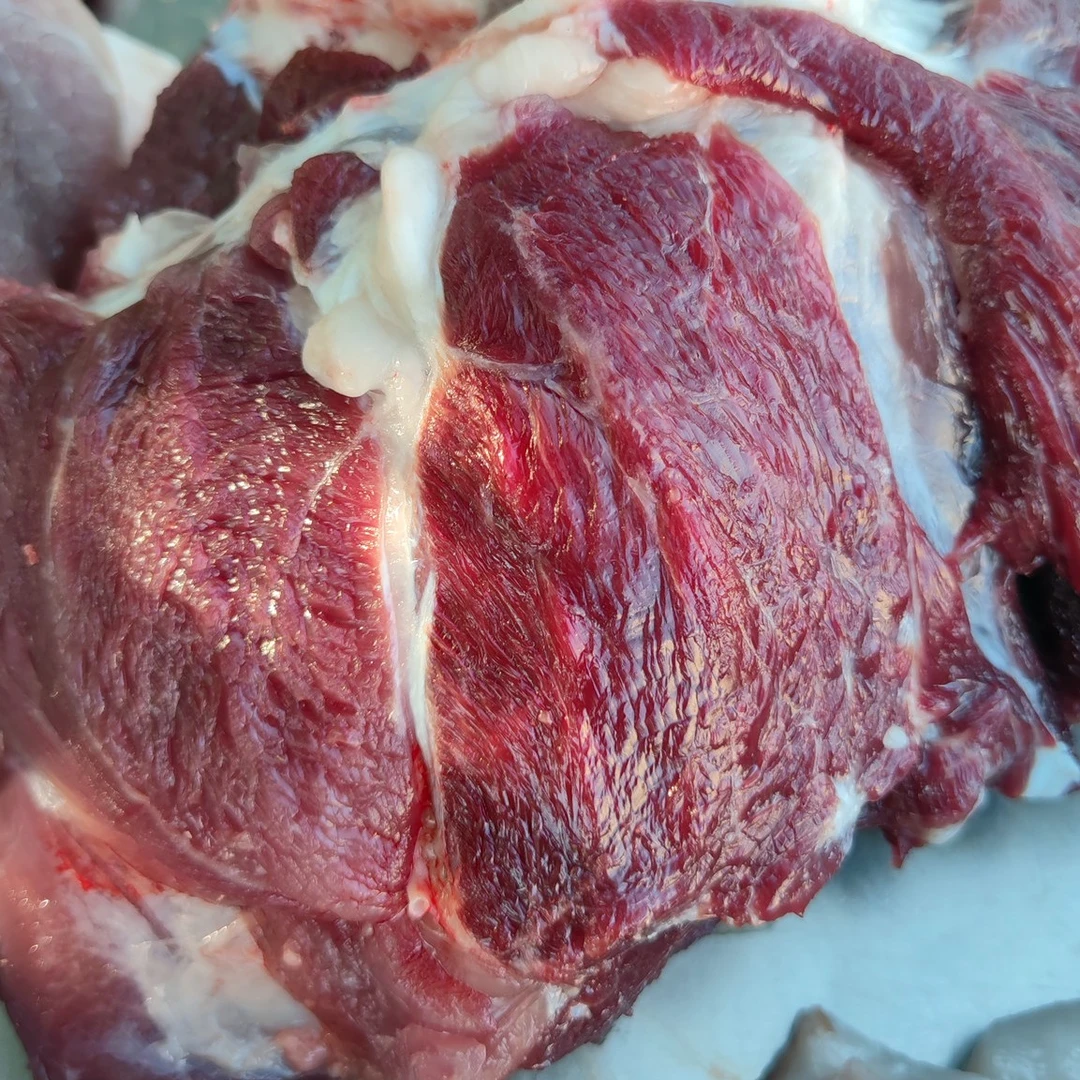 大王山寨跑山黑猪肉（山东省内200包邮，省外300包邮）