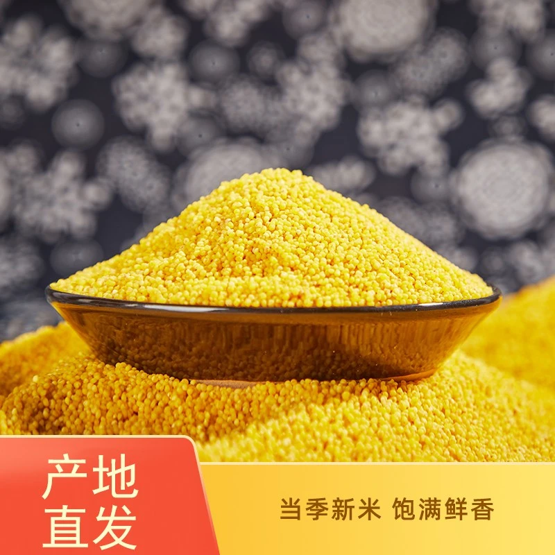 黄小米 陕西特产陕北清涧黄小米五谷杂粮月子米 2斤布袋装颗粒