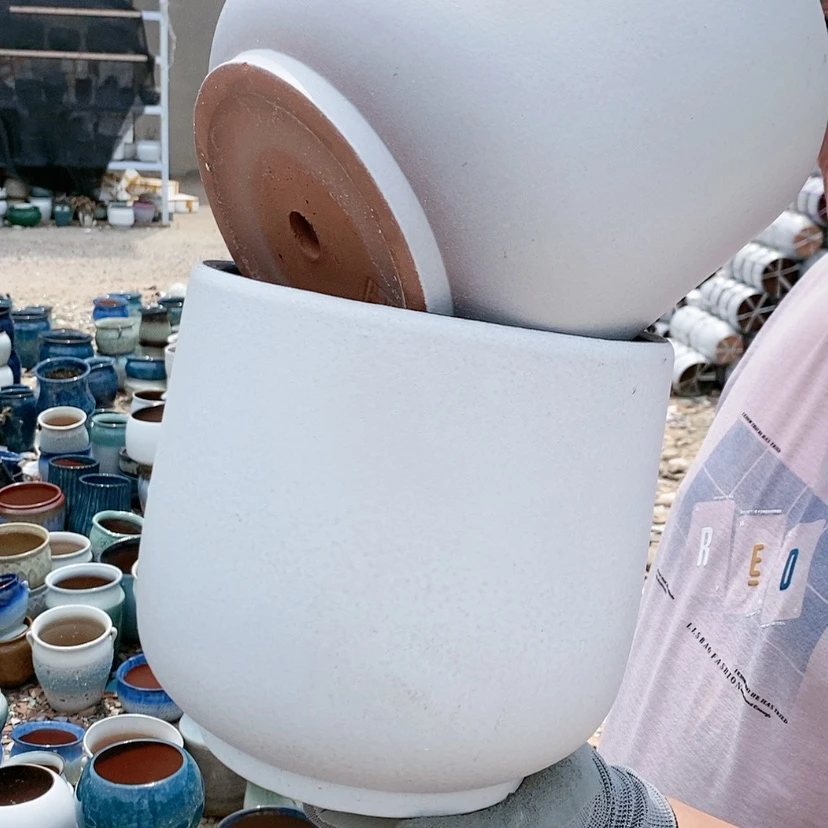 【闪购商品】红陶20CM以下向白龙蛋