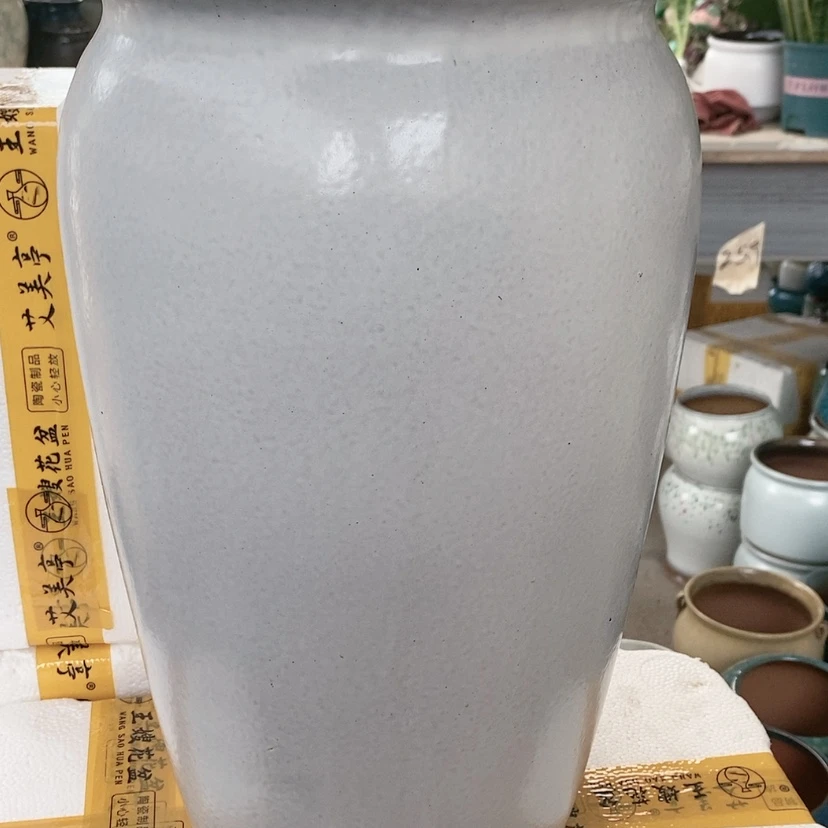 【闪购商品】红陶20CM以下龙大白