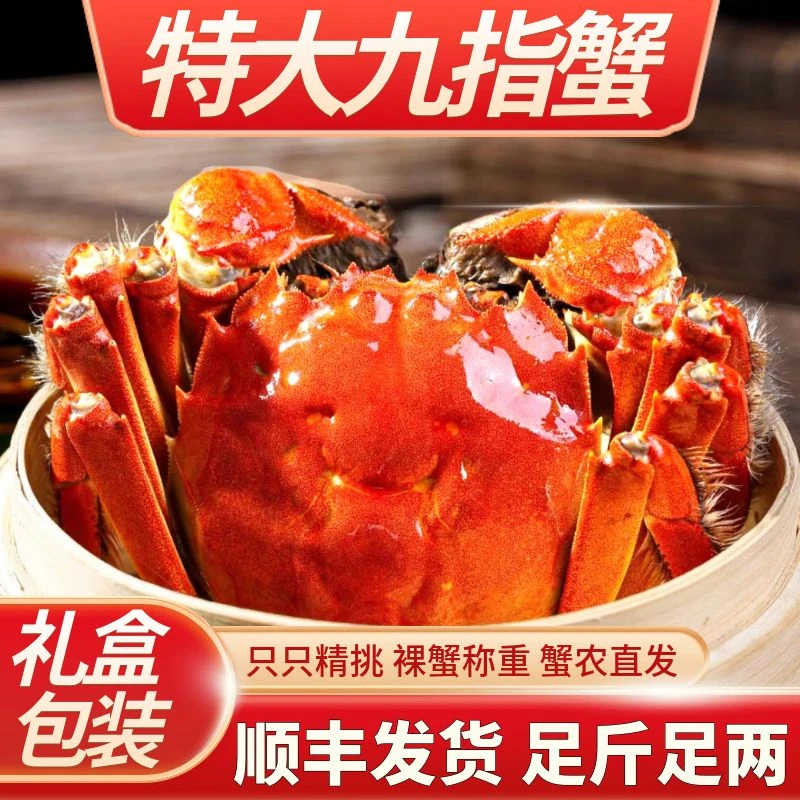 大闸蟹公母对半公4两左右母2.8-2.5两左右6/9/10/11/14只