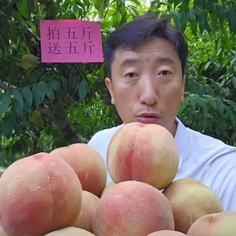 (顺丰包邮）北京绿化9 大桃 原产地直发 新鲜现摘 软硬两吃 不离核