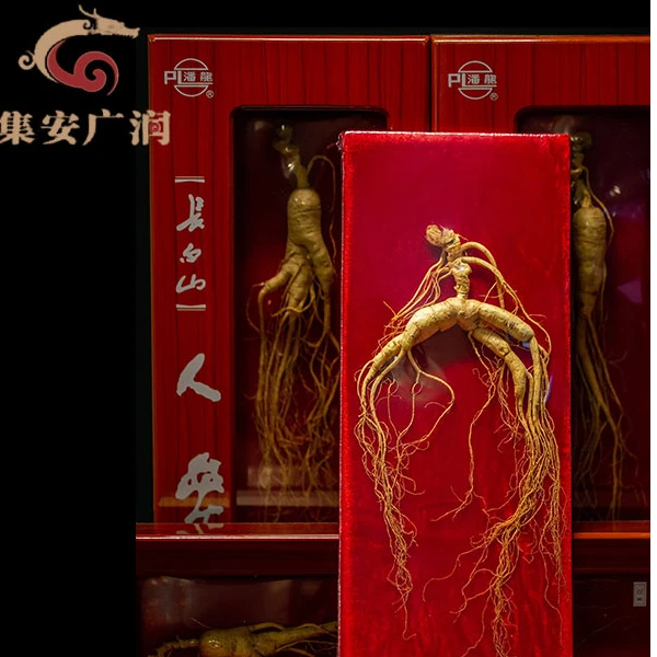 潘龙【专属泡酒组合】10年以上林下参山参配冻干活性人参