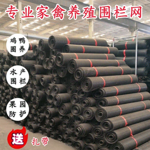 加厚塑料养鸡围栏网养鸭养殖网防护隔离网玉米网栅栏网果园圈地