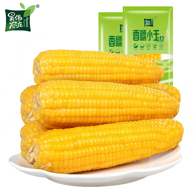 新鲜东北粘糯玉米 寒地黑土种植黄糯玉米 真空小香糯 170g*10支