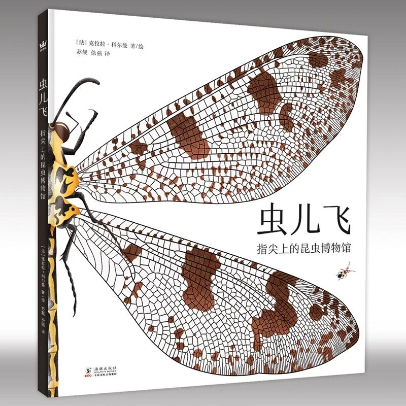 虫儿飞:指尖上的昆虫博物馆 昆虫科普绘本3岁以上立体书
