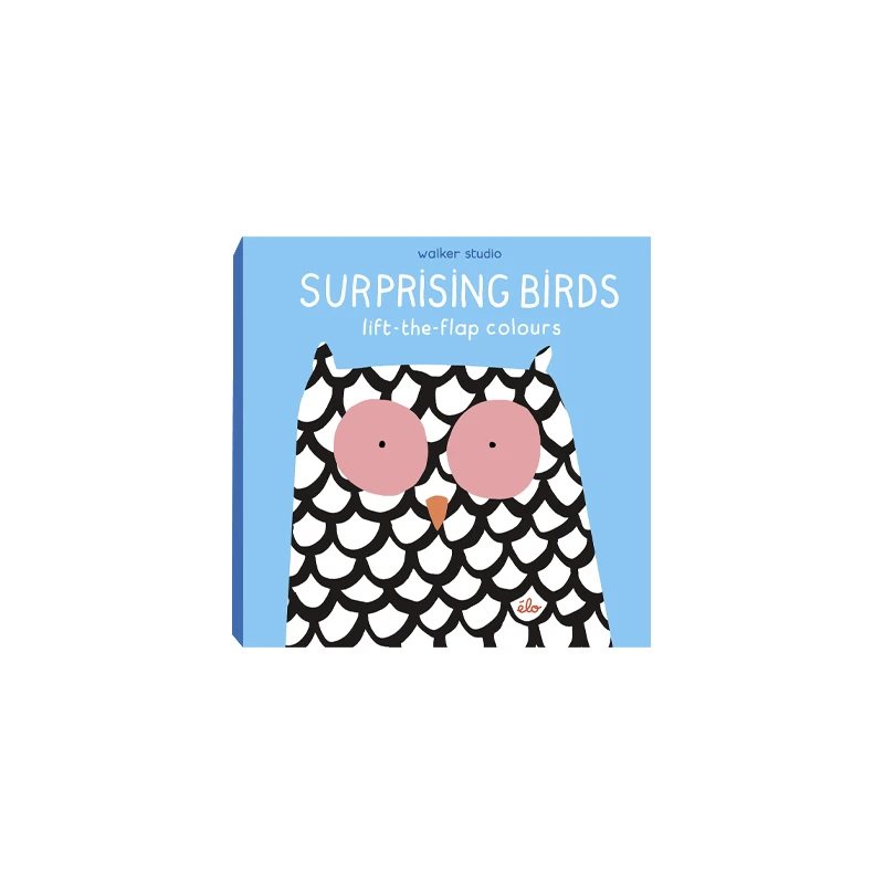 Surprising Birds: Lift-the-Flap Colours 令人惊讶的鸟 精装