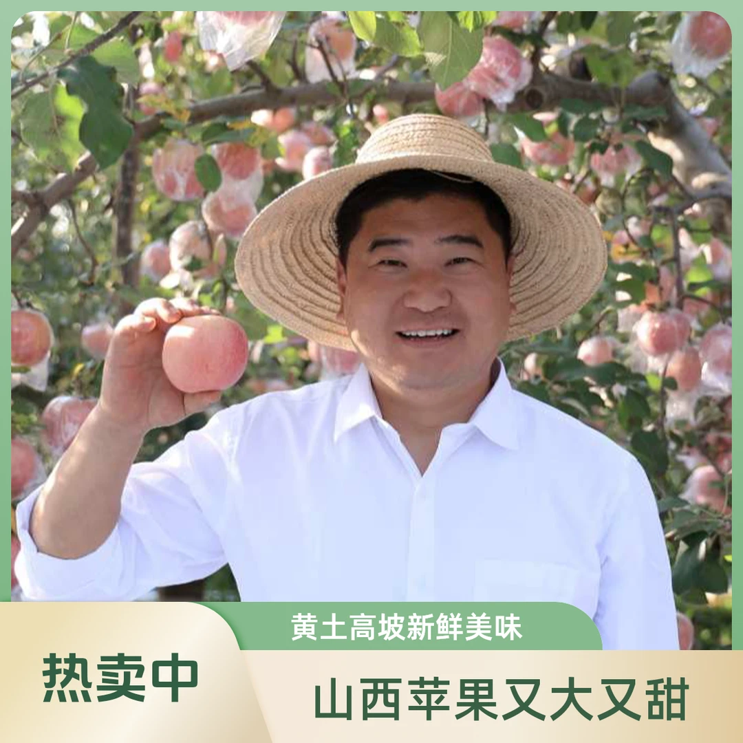 【山西丑苹果】黄土高坡苹果新鲜采摘红富士冰糖心苹果净重 9斤/5斤