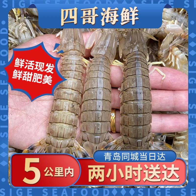 青岛本地精品皮皮虾，青岛发货，包鲜不保活，山东省内顺丰包邮，