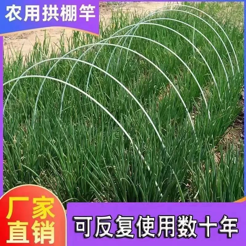 农用拱棚支架玻璃钢纤维杆大小菜棚家用豆角爬藤苗骨架保温棚批发