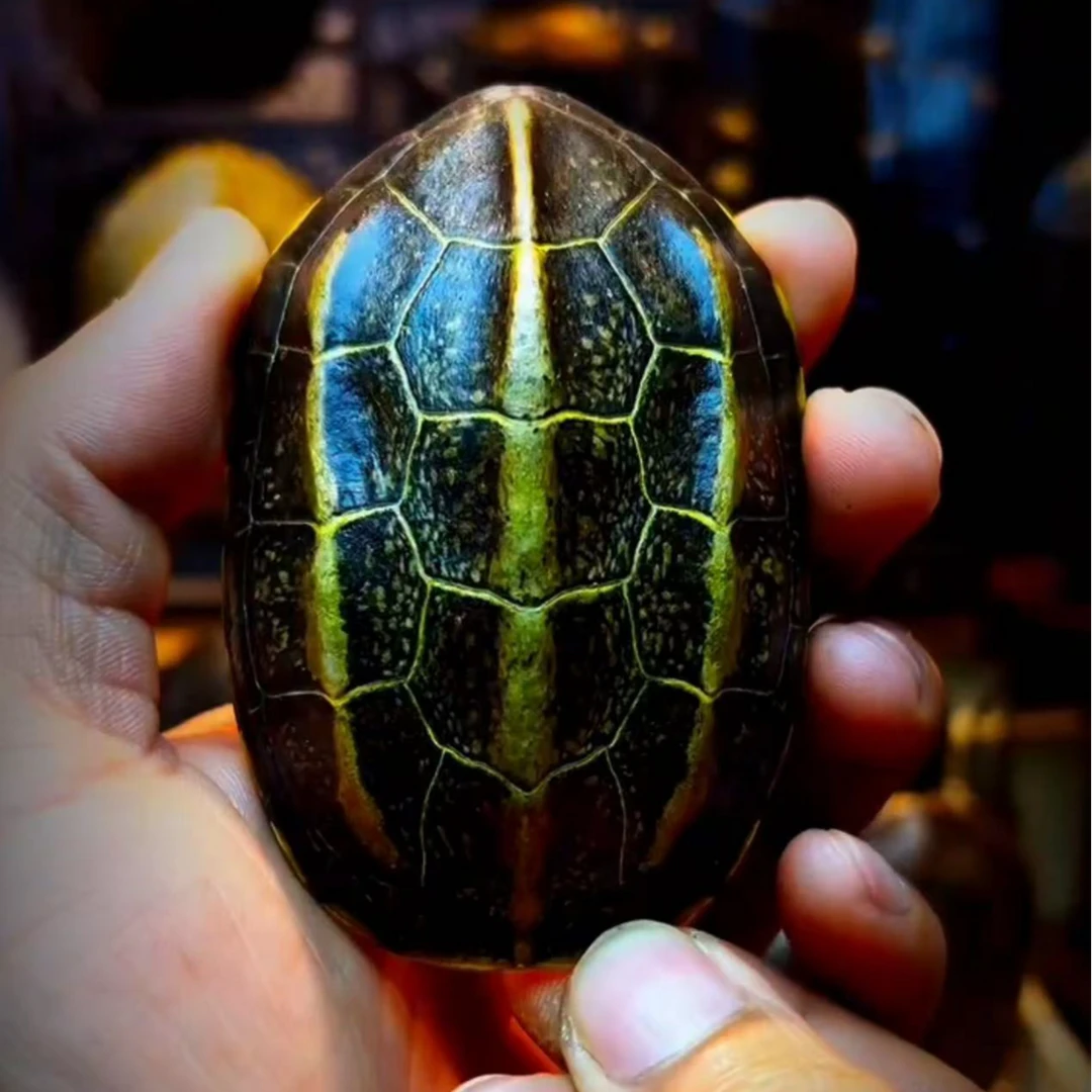 千甲阁-直播间售卖一物一拍高货手把件大摆台创意纯手工麒麟家用