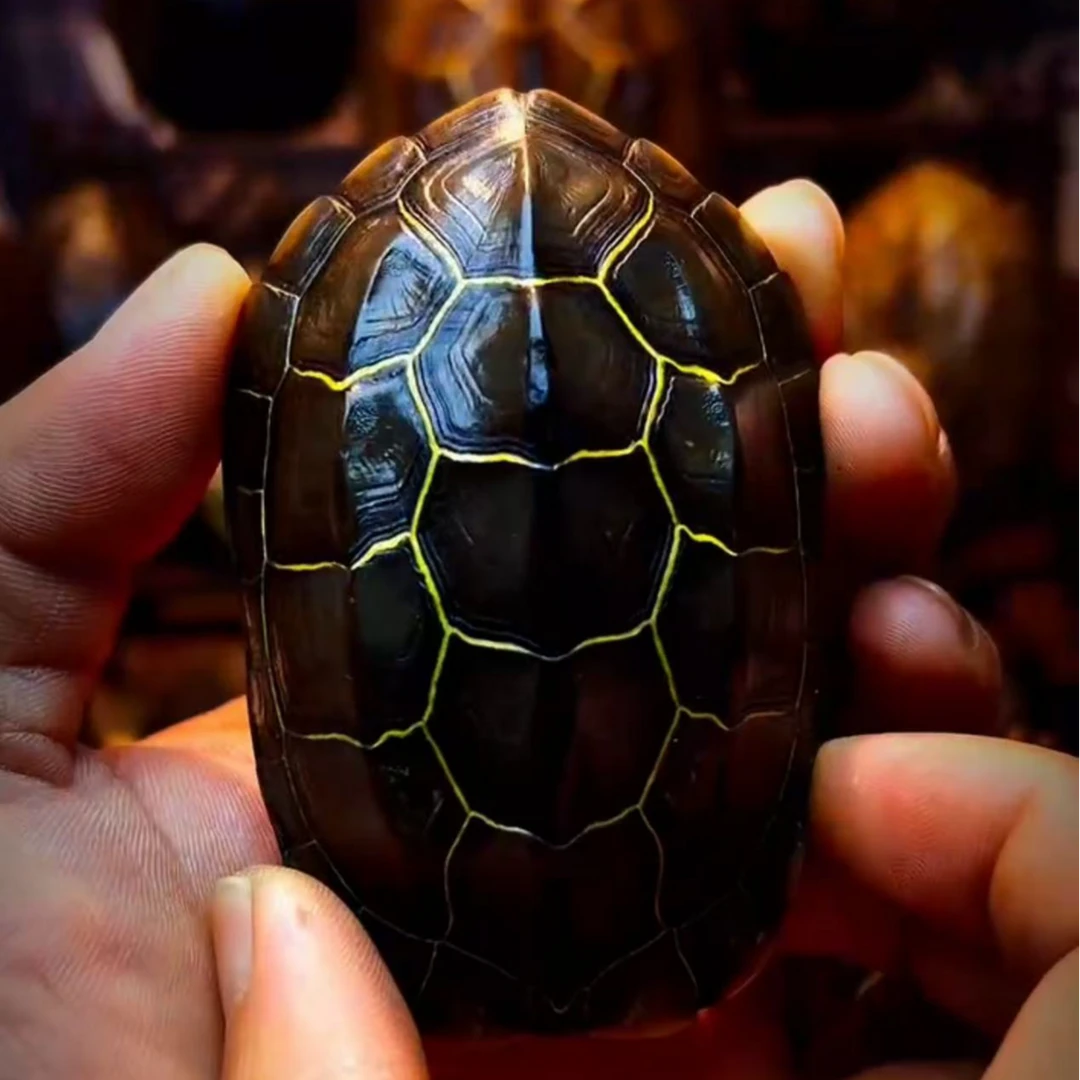 千甲阁-直播间售卖一物一拍精品龟甲手把件大摆台复古麒麟创意