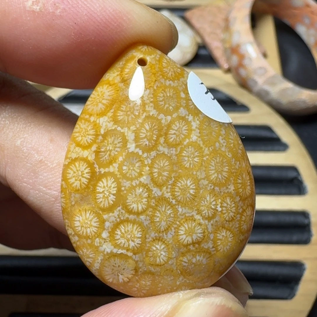 硅化珊瑚（珊瑚玉）纯天然色有机玉石未镶嵌